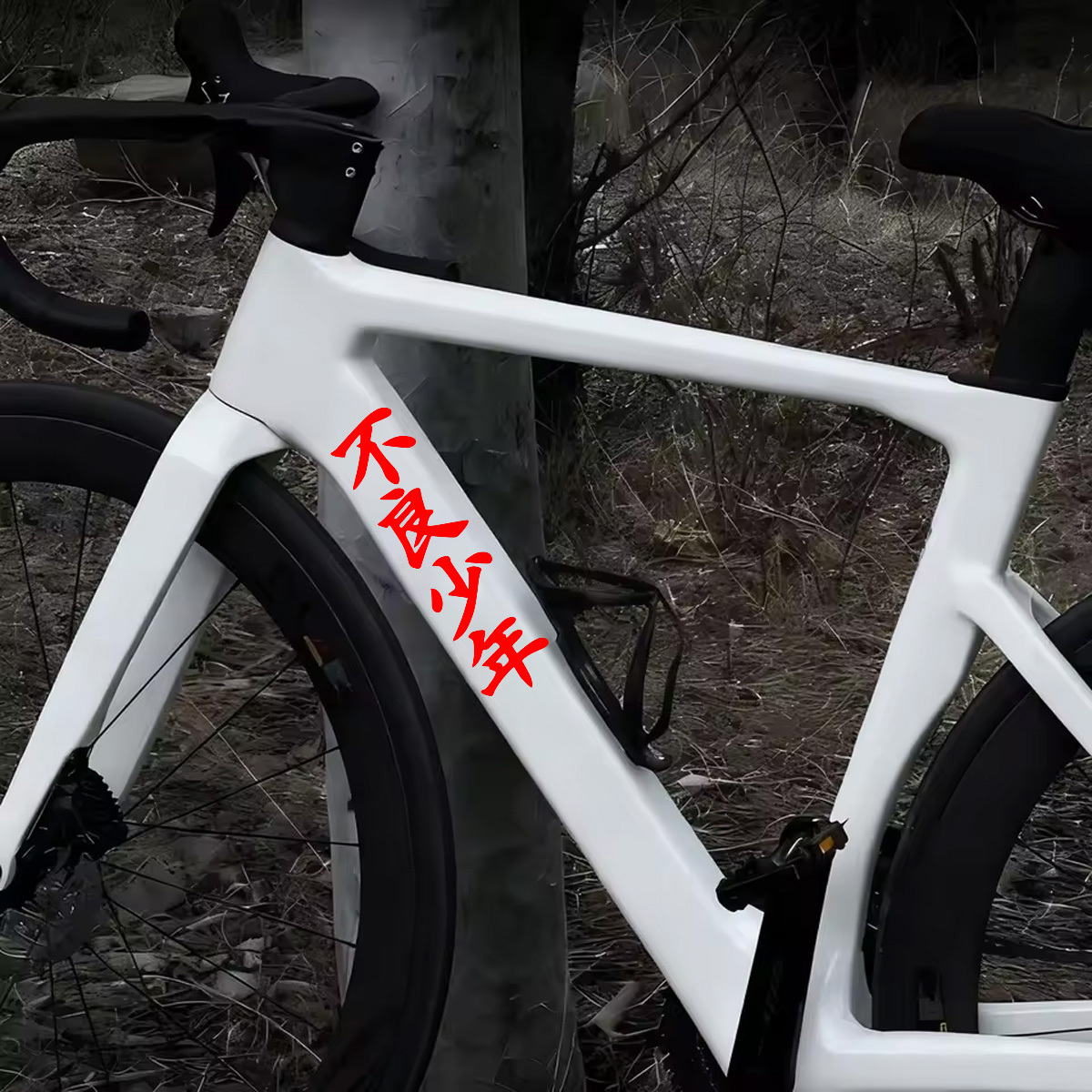2 stuks 'Delinquent Teen' teks - Mountain Biking Holidays recensie en prijs