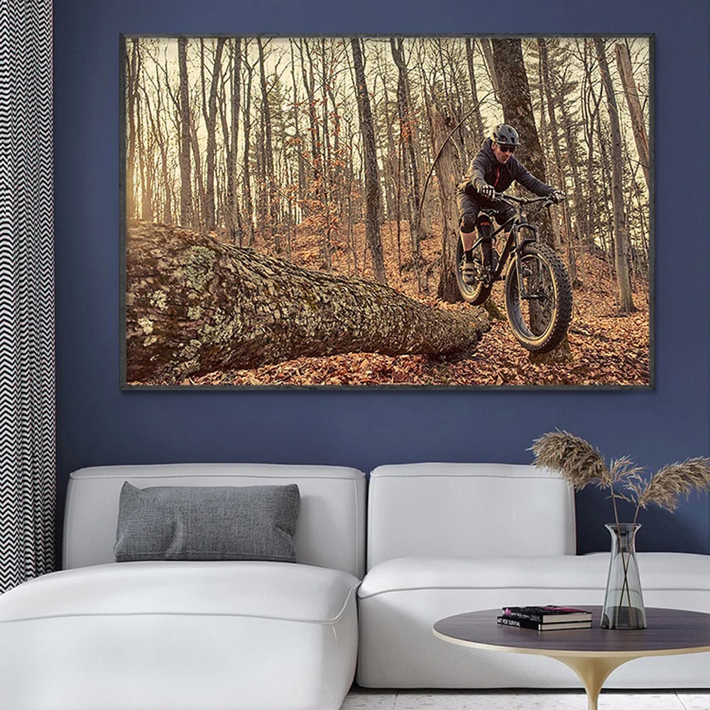 SP082 Zijden Doek Muurposter M - Mountain Biking Movies recensie en prijs