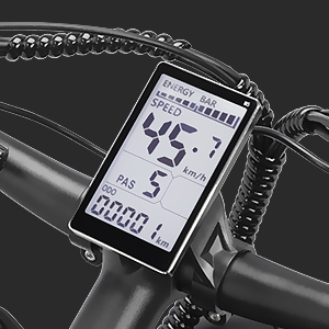 750W elektrische mountainbike  - Mountain Biking Holidays recensie en prijs