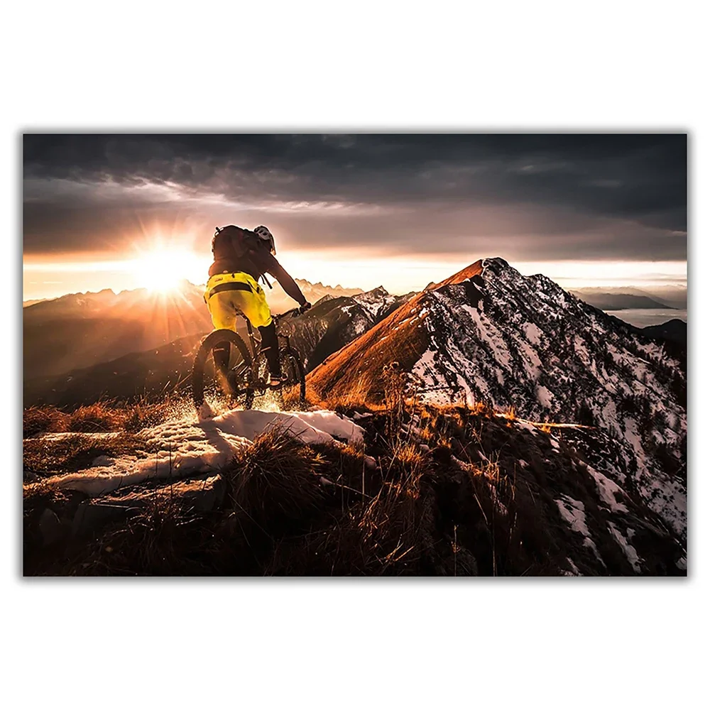 SP080 Zijden Doek Muurposter M - Mountain Biking Movies recensie en prijs